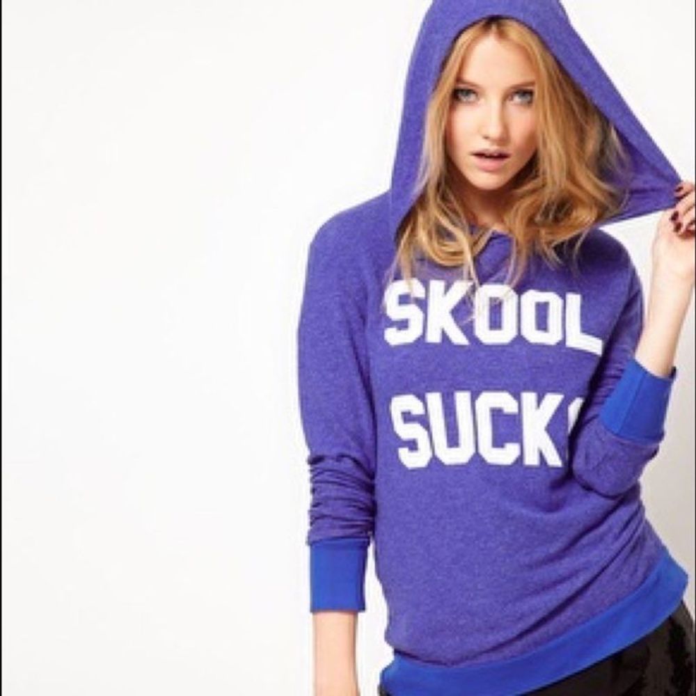 WILDFOX Skool Sucks Hoodie BBJ Jumper Sweatshirt